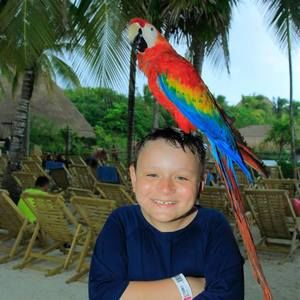 Meet your Posher, Bill